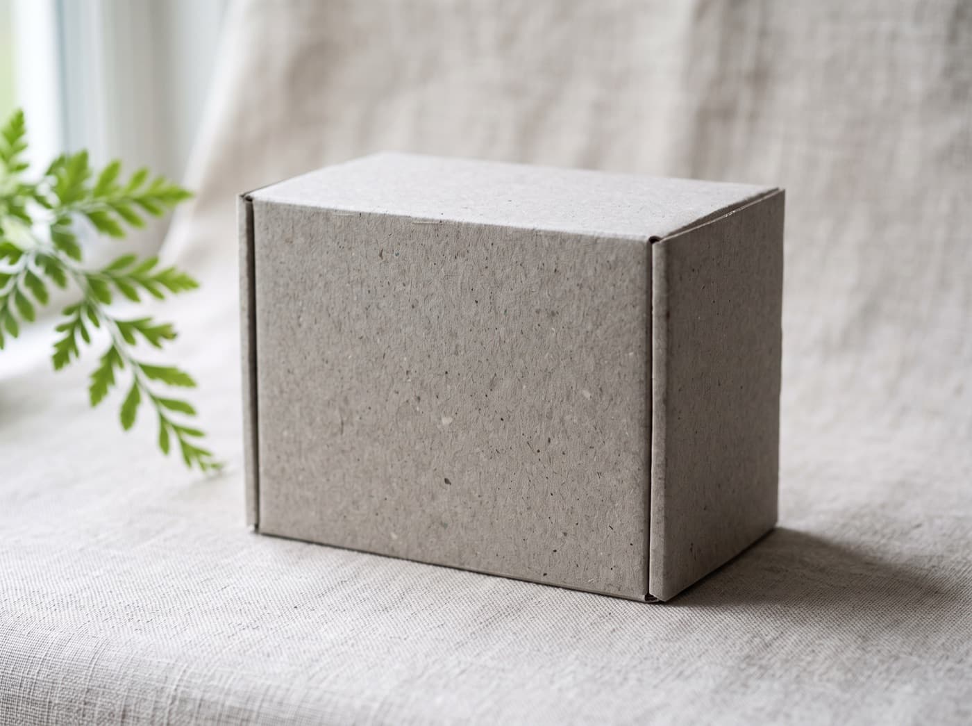 A mottled recycled-board box on natural linen with a fern frond resting against it.